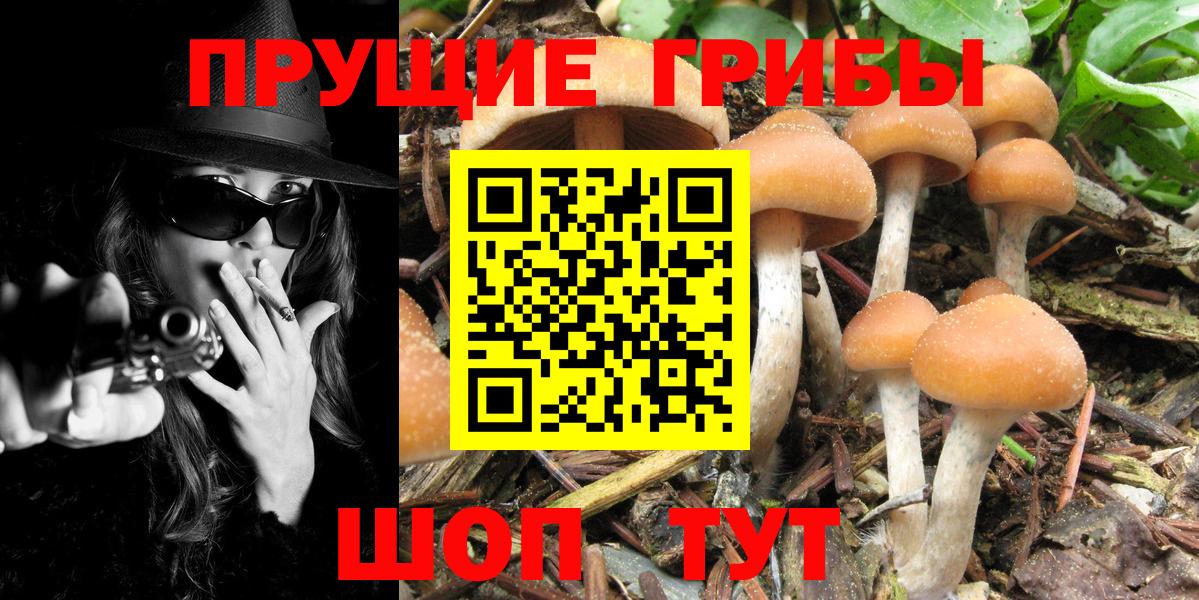 купить наркотики цена  Галлюциногенные грибы Magic Shrooms  Вход с VPN  Изобильный 