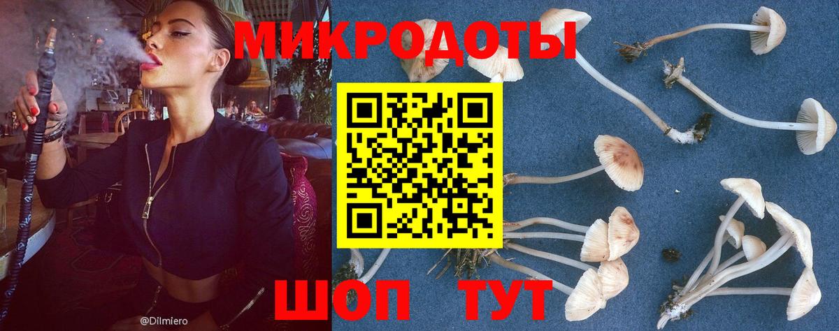 Псилоцибиновые грибы GOLDEN TEACHER Изобильный